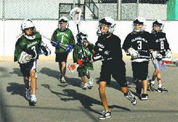 Glendale Box Lacrosse U11 Division, Fall 2007